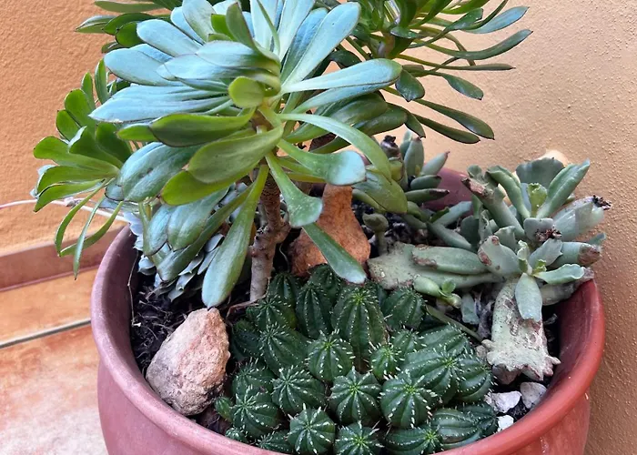 Appartamento La Casa *