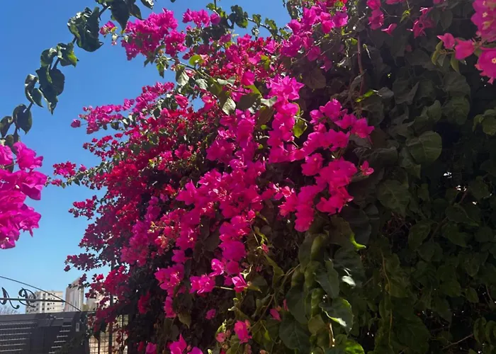 Appartamento La Casa Punta Prima (Alicante)