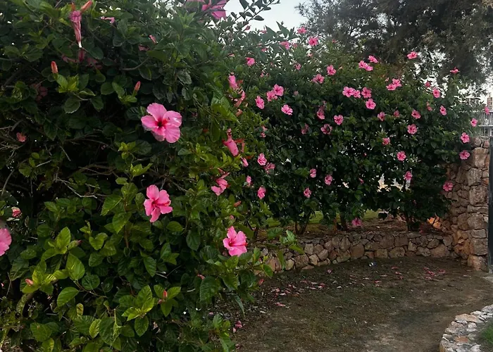 La Casa Appartamento Punta Prima (Alicante)